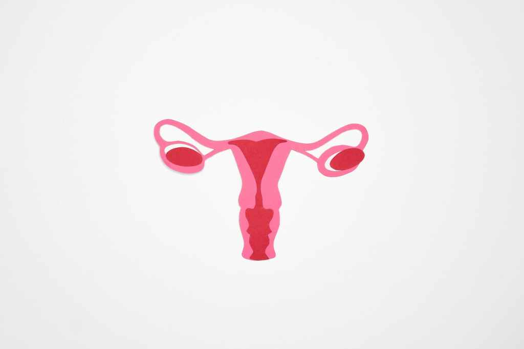 Blog Post: All About Uterine and Ovarian&nbsp;Growths