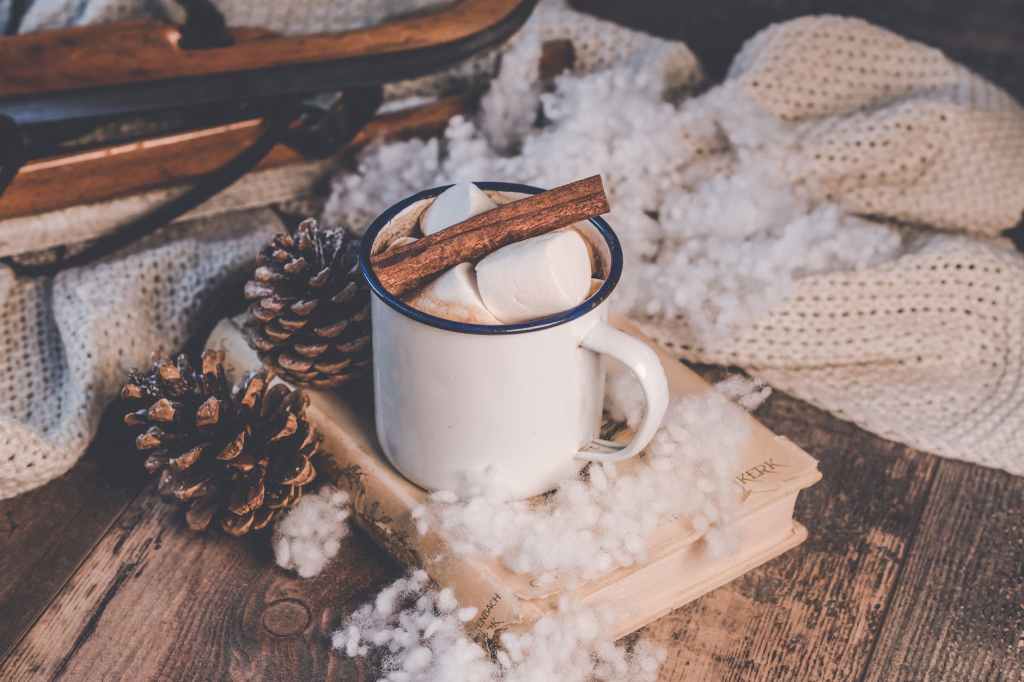 Blog Post: Prepping for the Holiday Season with Chronic&nbsp;Illness